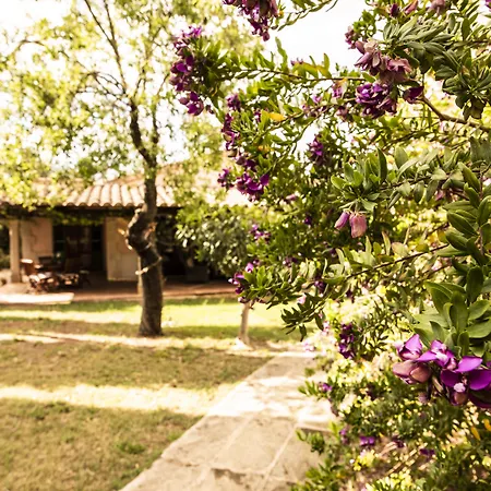 Aumallia Hotel & Spa Hotel