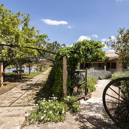 Hotel Aumallia Hotel & Spa Felanitx