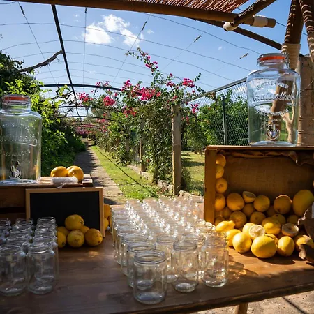 Hotel Aumallia Hotel & Spa Felanitx